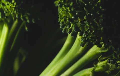 Organic Broccoli Macro close up Stock Photos
