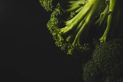 Organic Broccoli Macro close up Stock Photos