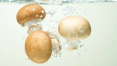 Organic Brown Button Mushrooms Immersed in Water with Air Bubbles. Stock Footage 308710285