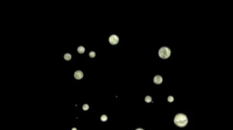 Organic Bubbles Stock Footage 8956019