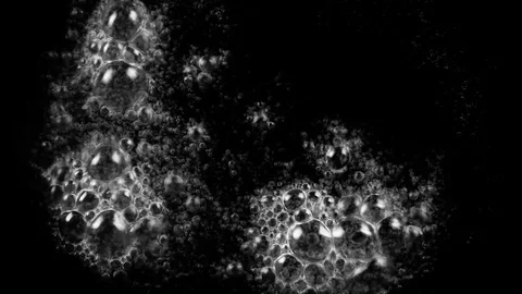 Organic Bubbles Vídeo Stock 77849522