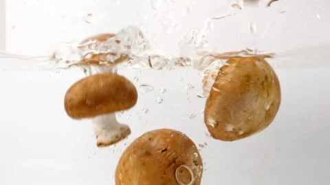 Organic button mushrooms falling and splashing into fresh water Stock Footage 171180243