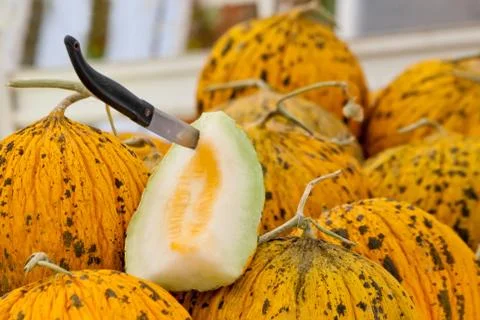 Organic casaba melon Stock Photos