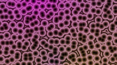 Organic cell Video stock 12141145