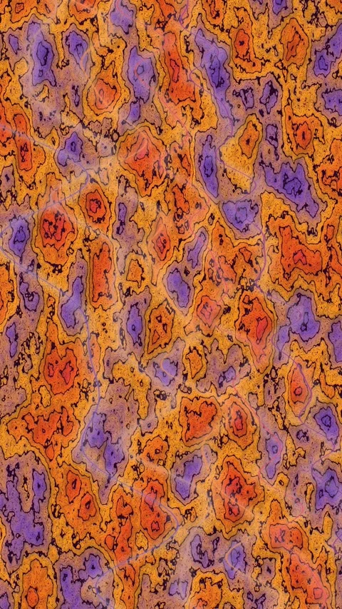 Organic Cell Texture Loop | Abstract Orange Purple Microscopic Motion Stock Footage 342985662