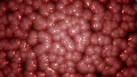 Organic Cells Boiling - Looping video for texture or background Stock Footage 109185341