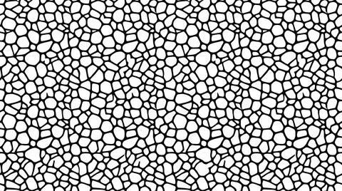 Organic cellular foam structure pattern with thick black borders and round .. Stock Illustration