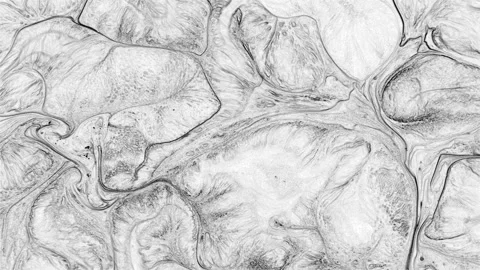 Organic Cellular Grey Paint Texture Abstract Stock Footage 331899317