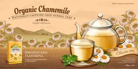 Organic chamomile tea ads Illustrazione stock