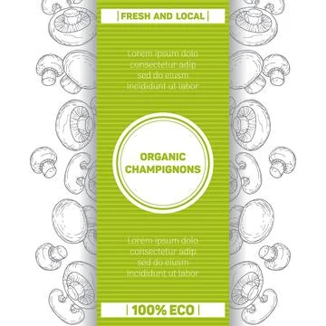Organic champignons. Packaging template mushrooms. Graphic vintage botanical Stock Illustration
