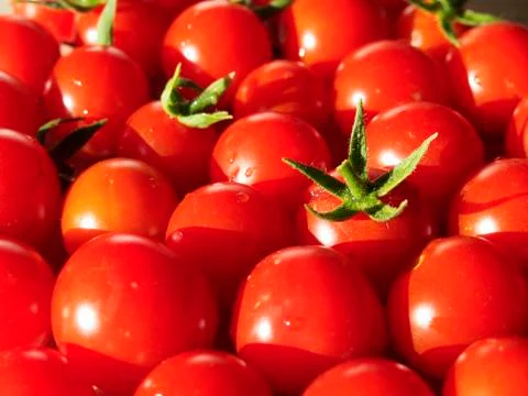 Organic cherry tomatoes Stock Photos