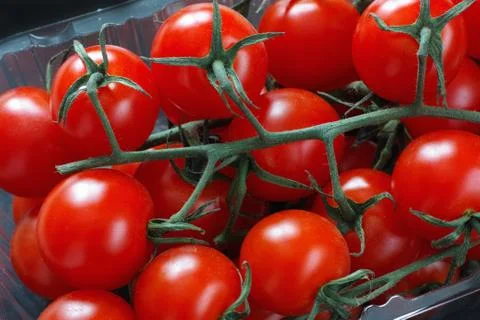 Organic cherry tomatoes Stock Photos