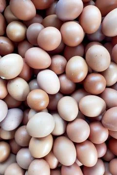Organic chicken egg texture. background of pile of chicken eggs Stock Photos