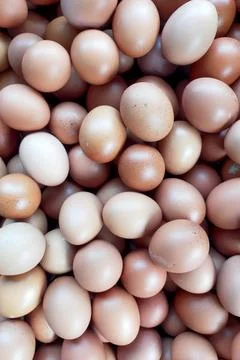 Organic chicken egg texture. background of pile of chicken eggs Stock Photos