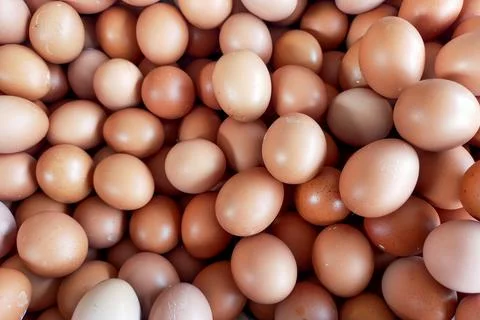Organic chicken egg texture. background of pile of chicken eggs Stock Photos