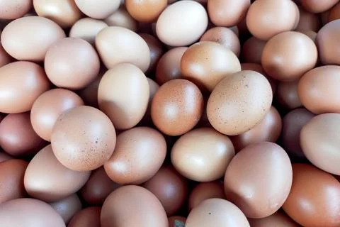 Organic chicken egg texture. background of pile of chicken eggs Stock Photos