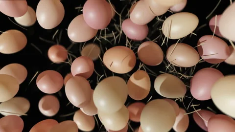 Organic chicken eggs jumping in slow motion 4K Stock Footage 149287142
