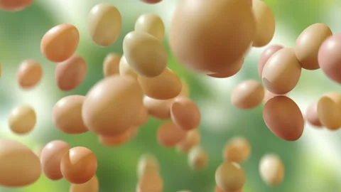 Organic chicken eggs jumping in slow motion 4K Stock Footage 149287931