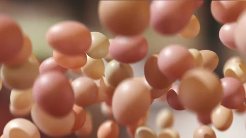 Organic chicken eggs jumping in slow motion 4K Stock Footage 149287941