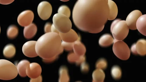 Organic chicken eggs jumping in slow motion 4K Stock Footage 149288154
