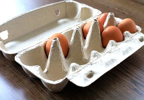 Organic chicken eggs placed in an open eco-friendly paper carton package Stock Photos