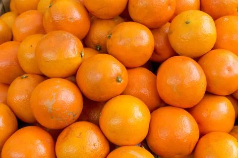 Organic citrus oranges at the market Stock Photos