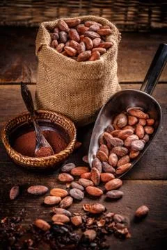 Organic cocoa beans Stock Photos