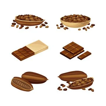 Organic cocoa beans set. Dried cocoa pods with seeds, chocolate bars vector Stock Illustration