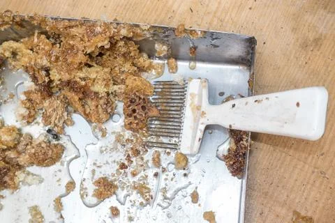 Organic comb capping Stock Photos