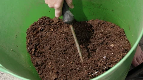 Organic compost in bucket prepared for use by hand tool. UK garden. Close Stock Footage 131830245