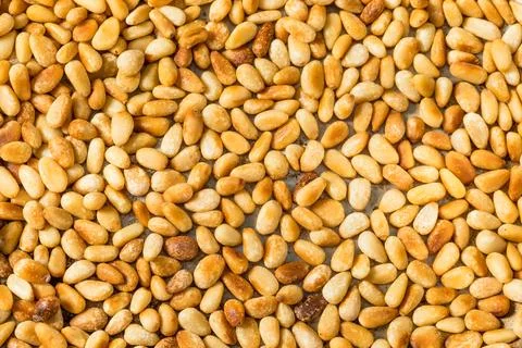 Organic Cooked Roasted Pine Nuts Stock Photos