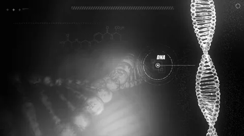 Organic DNA Stock-Footage 59745721