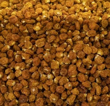 Organic dried grape Stock Photos