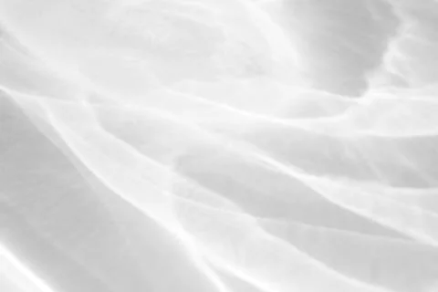 Organic drop shadow on a white wall Stock Photos