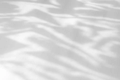 Organic drop shadow on a white wall Stock Photos
