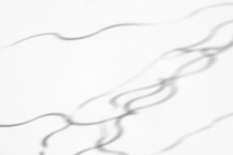 Organic drop shadow on a white wall Stock Photos