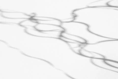 Organic drop shadow on a white wall Stock Photos