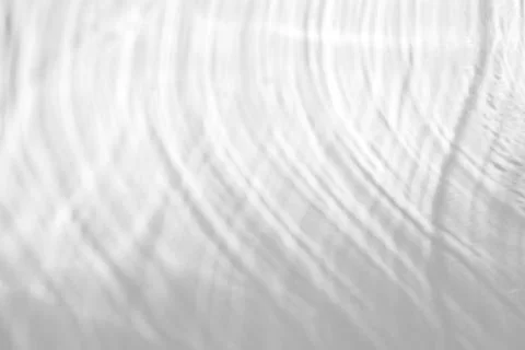 Organic drop shadow on a white wall Stock Photos
