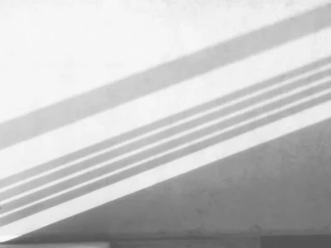 Organic drop shadow on a white wall for natural light effects Stock Photos