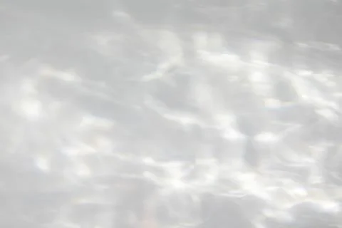 Organic drop shadow on a white wall Stock Photos