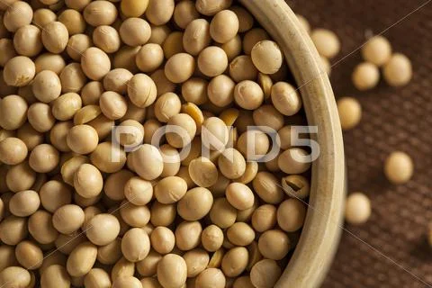 Organic dry soy beans Stock Photos