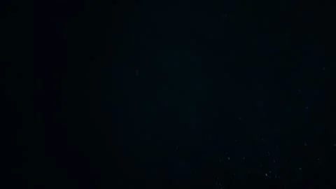 Organic Dust Particles Floating On Black Background Stock Footage 247772161