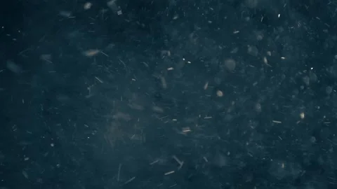 Organic Dust Particles Floating On Black Background Stock Footage 247772162