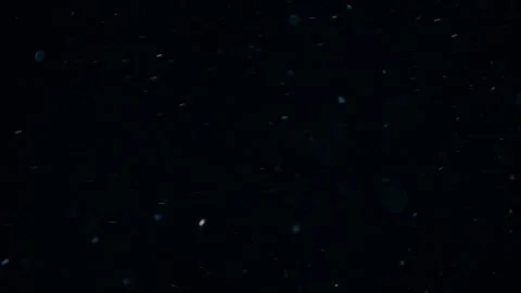 Organic Dust Particles Floating On Black Background Video stock 247772424