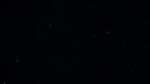 Organic Dust Particles Floating On Black Background Video stock 247772453