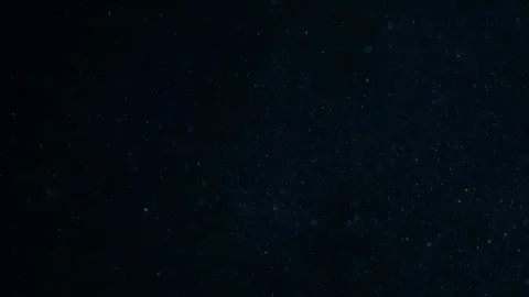 Organic Dust Particles Floating On Black Background Stock Footage 247772467