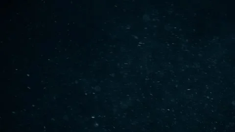 Organic Dust Particles Floating On Black Background Stock Footage 247772557