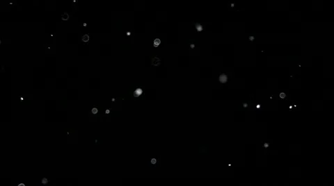 Organic Dust Particles Stock Footage 21655754