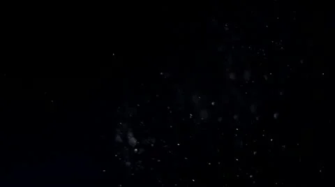 Organic Dust Particles Stock Footage 21662986