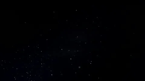 Organic Dust Particles Stock Footage 21667034